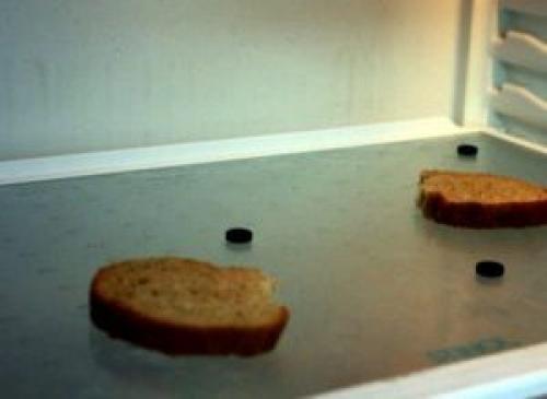 Поглотитель запаха в холодильнике. А не сделать ли поглотитель самим?