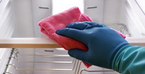 Как очистить от запаха холодильник. Житейская история: чем помыть холодильник, чтобы не было запаха