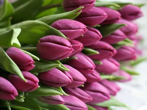 С каким цветом сочетается розовый. Можно ли сочетать розовый и зеленый? Ищем ответ в образах модных блогеров