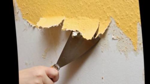 Как снять старые обои с окрашенных стен. Как покрасить стены после обоев: 3 шага к красивой отделке