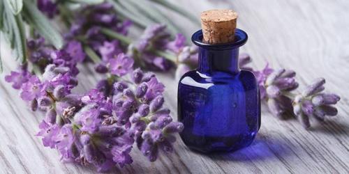 Как убрать запах из обуви