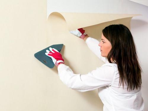 Варианты отделки стен обоями. Отделка стен обоями — фото идеи яркого и гармоничного сочетания в интерьере