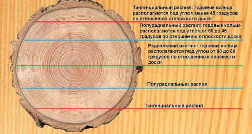 Какое покрытие для пола лучше выбрать в квартиру. Типы жилых помещений 10 Какое покрытие для пола лучше выбрать в квартиру. Типы жилых помещений 10