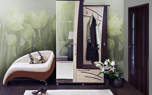 Варианты отделки стен в прихожей. Чем отделать стены в прихожей: ТОП-3 современных материалов, идеально подходящих для отделки