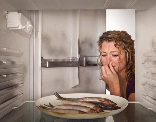 Запах в холодильнике причины. Почему плохо пахнет в холодильнике и что необходимо делать в этом случае?