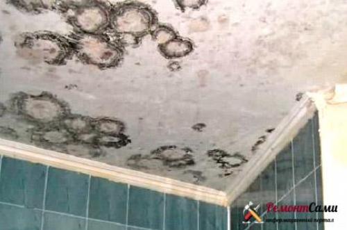 Схема естественной вентиляции. Функции естественной вентиляции дома