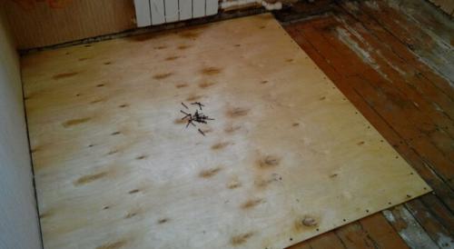 Как стелить фанеру на деревянный пол. Какая фанера используется для пола