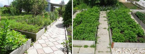 Ограждения для грядок из шифера. Можно ли использовать шифер для грядок 05