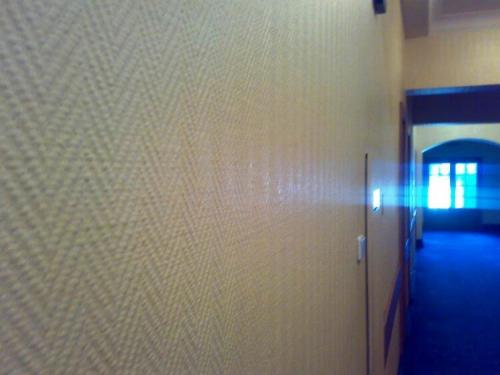 Чем покрыть стеклообои. Стеклообои —, что это такое и как с ними работать?