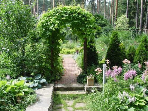 Дендроплан участка 15 соток с перечнем растений. Проект ландшафтного дизайна дачного участка 15 соток паркового типа