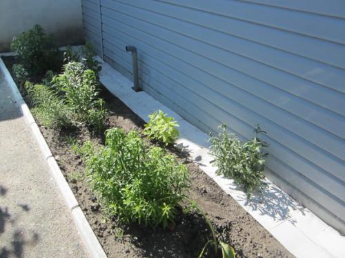 Красивая отмостка вокруг дома. Отмостка дома своими руками —, как сделать защита фундамента? Пошаговая инструкция (71 фото)