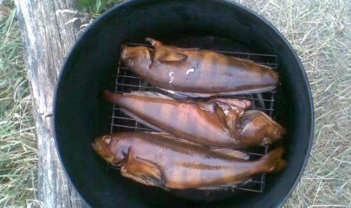 Коптильня холодного копчения чертежи. Коптильня своими руками — инструкция для начинающих. Как сделать коптильню холодного и горячего копчения?