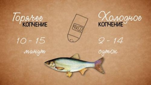 Коптильня холодного копчения чертежи. Коптильня своими руками — инструкция для начинающих. Как сделать коптильню холодного и горячего копчения?