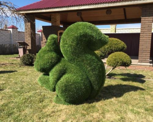 Многолетние травы для сада. Особенности подбора