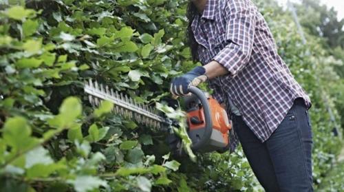 Бензопила для стрижки кустов. Изготовление кустореза из бензопилы своими руками