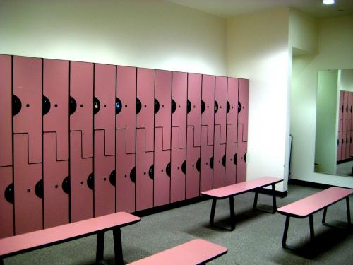 Шкафчик для раздевалки в спортзале. Варианты шкафов в раздевалки фитнес клубов, советы по выбору