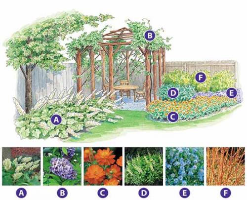 Схемы клумб для начинающих. Как сделать красивую клумбу: 15 схем для цветника