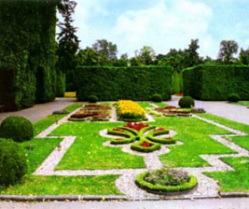 Шаблоны для стрижки кустов. Как сделать шаблон для фигурной стрижки живой изгороди?