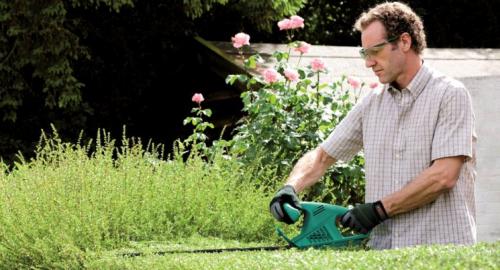 Стрижка кустов кусторезом. Кусторез — подстригаем живую изгородь, как профессионал (фото + видео)