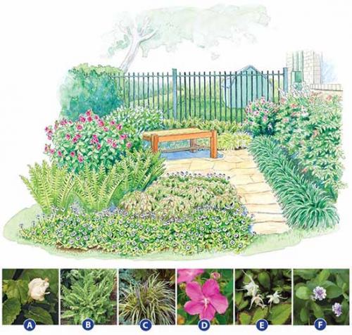 Схемы клумб для начинающих. Как сделать красивую клумбу: 15 схем для цветника