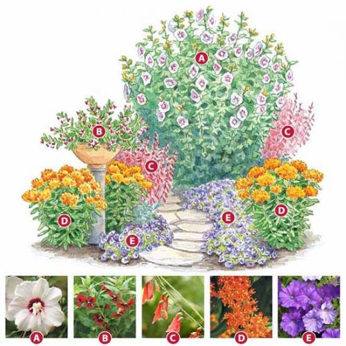 Схемы клумб для начинающих. Как сделать красивую клумбу: 15 схем для цветника