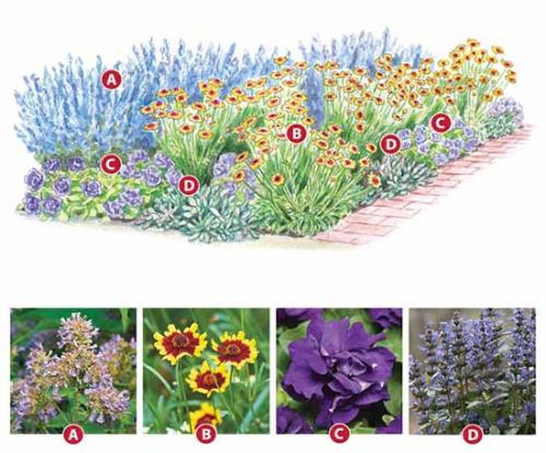 Схемы клумб для начинающих. Как сделать красивую клумбу: 15 схем для цветника