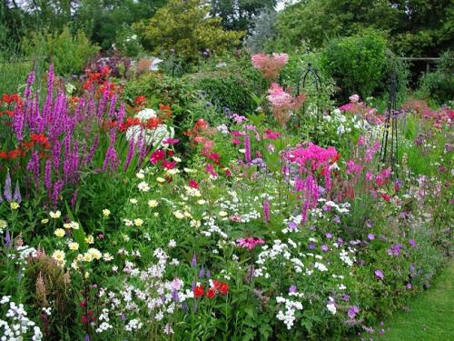 Клумба из многолетников и кустарников. Виды миксбордеров 05 Клумба из многолетников и кустарников. Виды миксбордеров 05