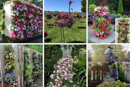 Дизайн маленького участка перед домом. Идеи и варианты ландшафтного дизайна на маленьком участке перед домом