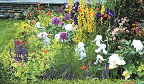 Солнечная клумба из многолетников. Пронзительная симфония красок: потрясающий этюд из многолетников для солнечных мест