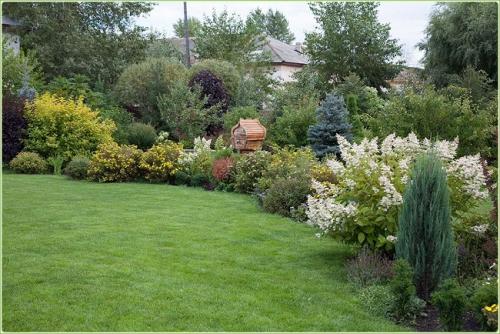 Клумба из многолетников и кустарников. Виды миксбордеров 06 Клумба из многолетников и кустарников. Виды миксбордеров 06