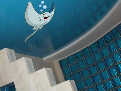 Можно ли на натяжной потолок клеить скотч. Дизайн, идеи, варианты форм для натяжного потолка: 01