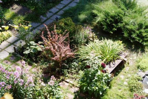 Миксбордер с лилейниками. Кустарниковый 04