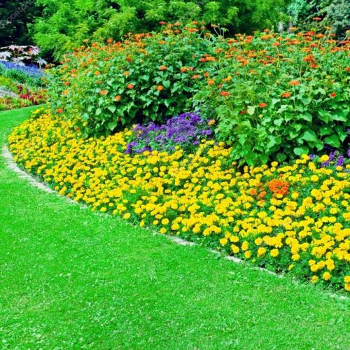 Как оформить большую клумбу. Красивые клумбы — варианты оформления, правила организации, выбор места, советы новичкам + 99 фото