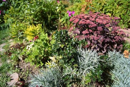 Миксбордер с лилейниками. Кустарниковый 07