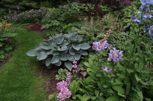 Оформление клумб на дачном участке. Клумба с многолетниками – разновидности