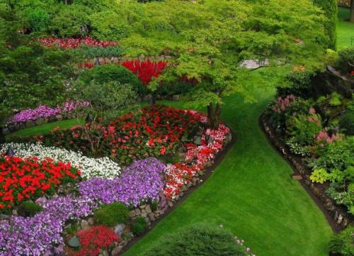 Оформление клумб на дачном участке. Клумба с многолетниками – разновидности