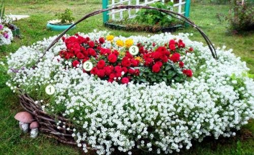 Как оформить большую клумбу. Красивые клумбы — варианты оформления, правила организации, выбор места, советы новичкам + 99 фото