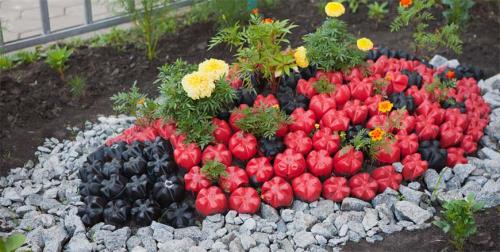 Как украсить красиво сад. С чего начать? 05