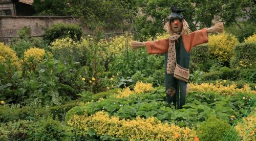 Картинка чучело огородное для детей. Секрет эффективного пугала 20 Картинка чучело огородное для детей. Секрет эффективного пугала 20