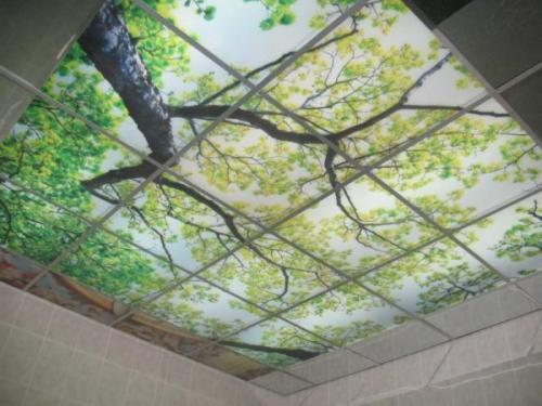 Как сейчас отделывают потолки. Жилые комнаты