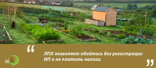 Как оформить ЛПХ и что это дает. Что такое ЛПХ