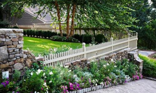 Какие цветы посадить вдоль забора, чтобы цвели все лето. Правила дизайна ландшафта