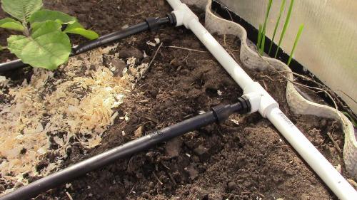 Капельный полив для теплицы своими руками из полипропилена. Как сделать капельный полив из ПВХ труб