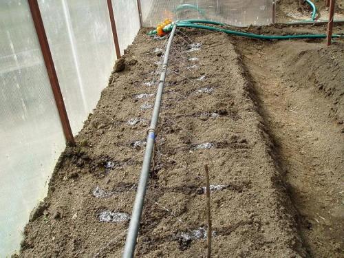 Капельный полив для теплицы своими руками из полипропилена. Как сделать капельный полив из ПВХ труб