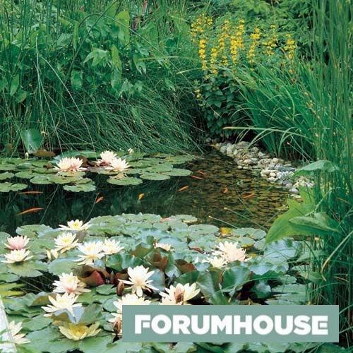 Строительство прудов и водоемов для разведения рыбы. Пруд с точки зрения закона