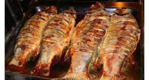 Рыбы для пруда на даче. Неубиваемая рыба, без которой нет ни одного пруда – она даже в луже живёт