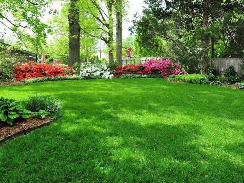 Сорняки в огороде, как избавиться. 10 народных средств от сорняков