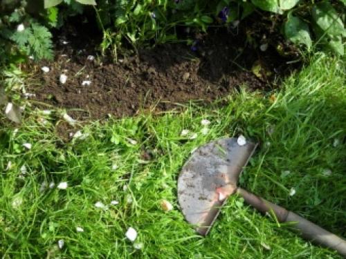 Сорняки в огороде, как избавиться. 10 народных средств от сорняков 05