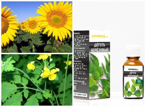 Борьба с колорадским жуком. Народные методы