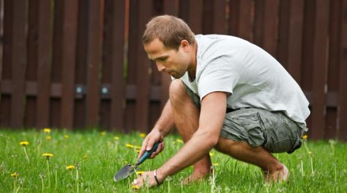 Как избавиться от травы на огороде раз и навсегда самый эффективный способ. Как избавиться от сорняков на участке?